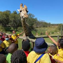 Grade 3 trip to the Lion and Safari Park