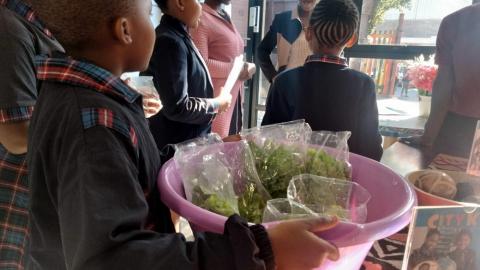 Grade 4A selling vegetables from their Perfect Pallet garden