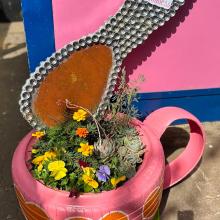 Spring Day Festival